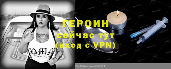 гашик Алексин