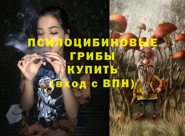 гашик Алексин