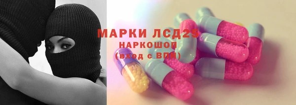 гашик Алексин