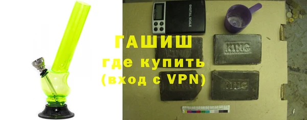 гашик Алексин