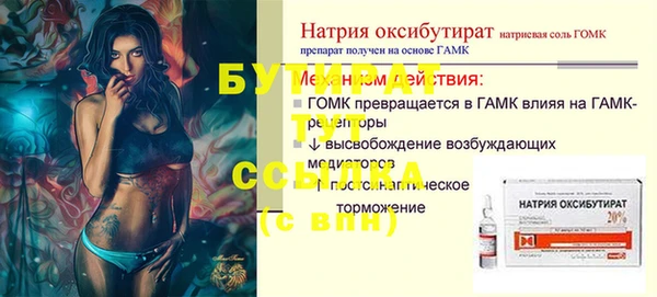 гашик Алексин