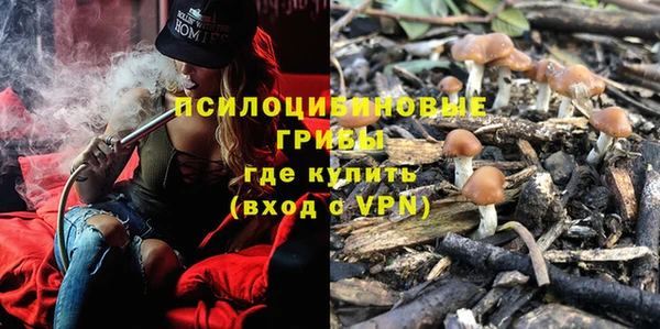 молекула духа Алзамай