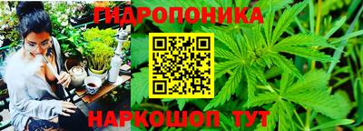 сатива Вязьма