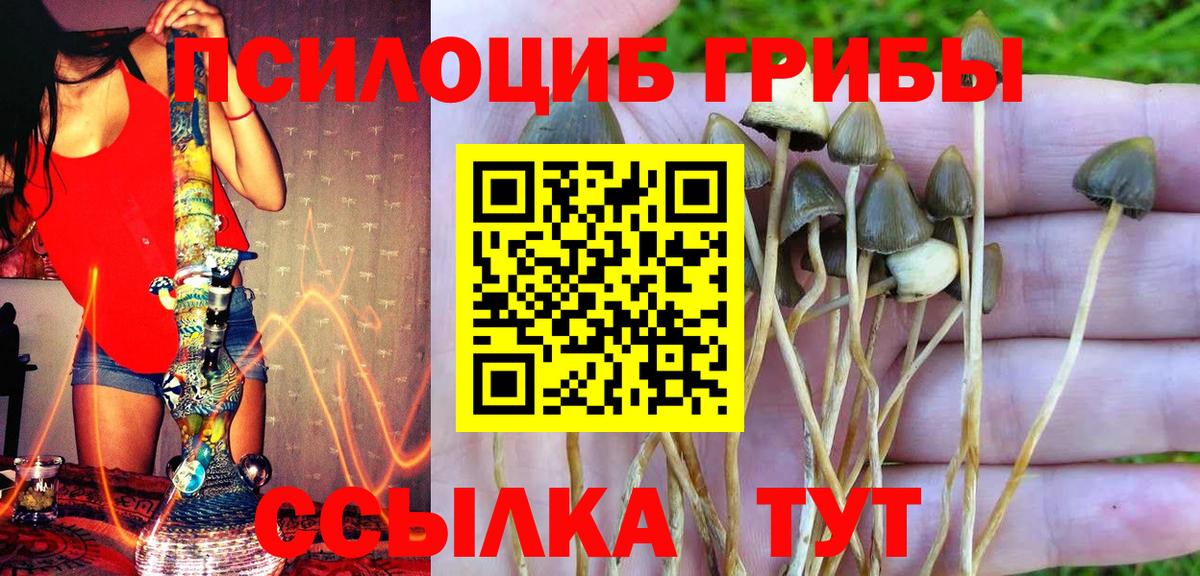 Галлюциногенные грибы GOLDEN TEACHER Киржач