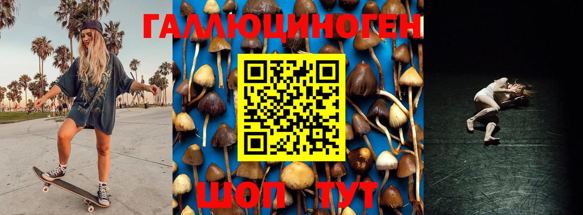 Киржач  Псилоцибиновые грибы GOLDEN TEACHER  Вход с VPN 